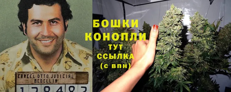 Бошки Шишки White Widow  где найти   Ак-Довурак 